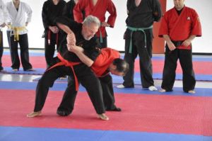 Franz Strauss mach Jiu Jitsu und Judo-Do